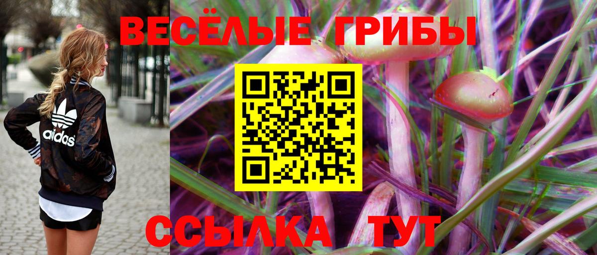 Галлюциногенные грибы GOLDEN TEACHER Майкоп