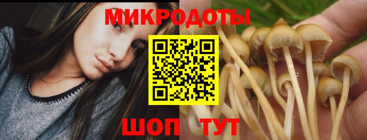 Галлюциногенные грибы мухоморы  Вход с VPN  Майкоп  Галлюциногенные грибы MAGIC MUSHROOMS 